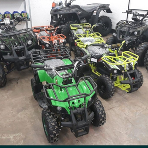 Электроквадроциклы Электроквадроциклы