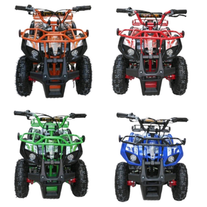 ЭЛЕКТРОКВАДРОЦИКЛЫ ЭЛЕКТРОКВАДРОЦИКЛЫ